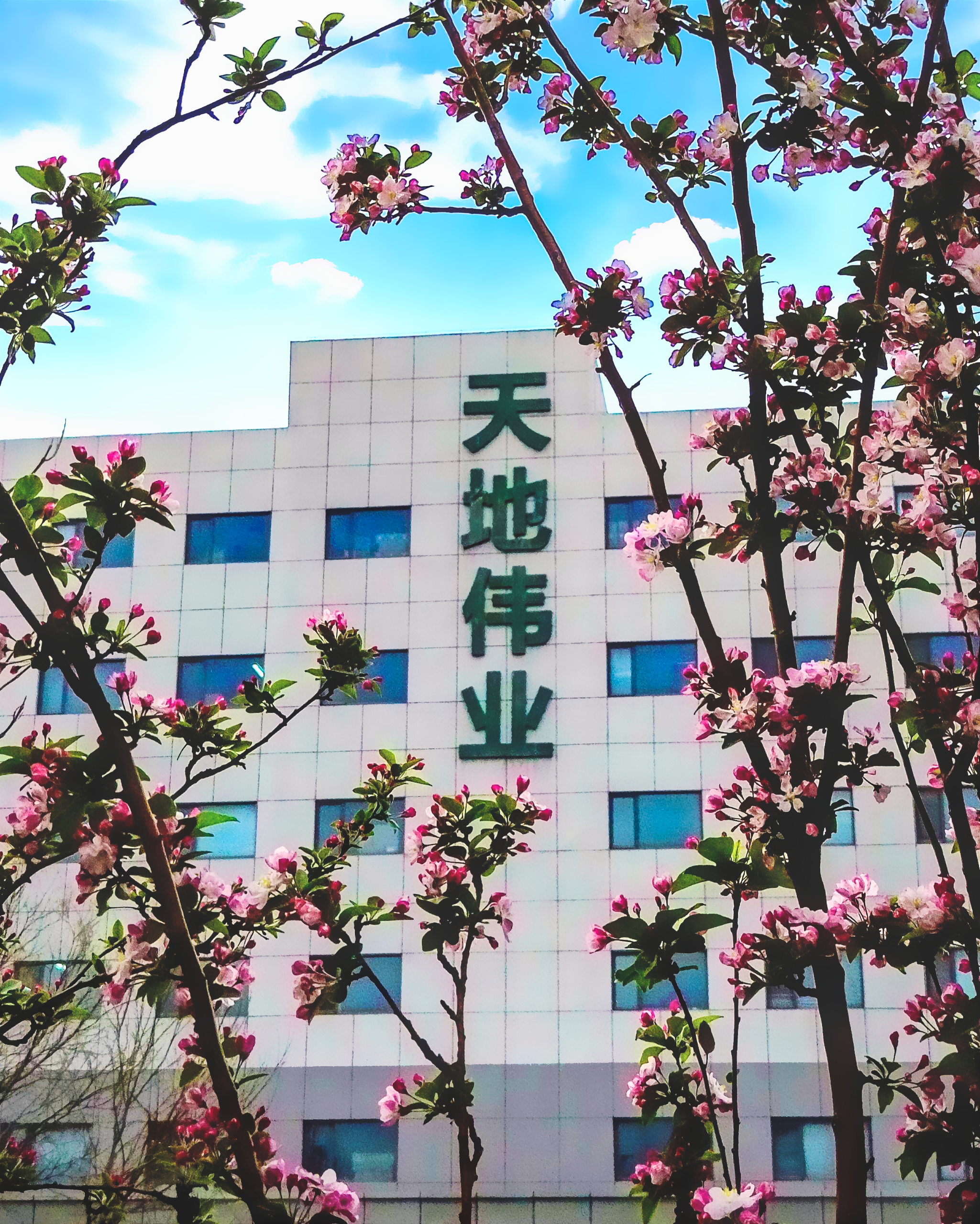 尊龙凯时·(中国集团)人生就是搏!